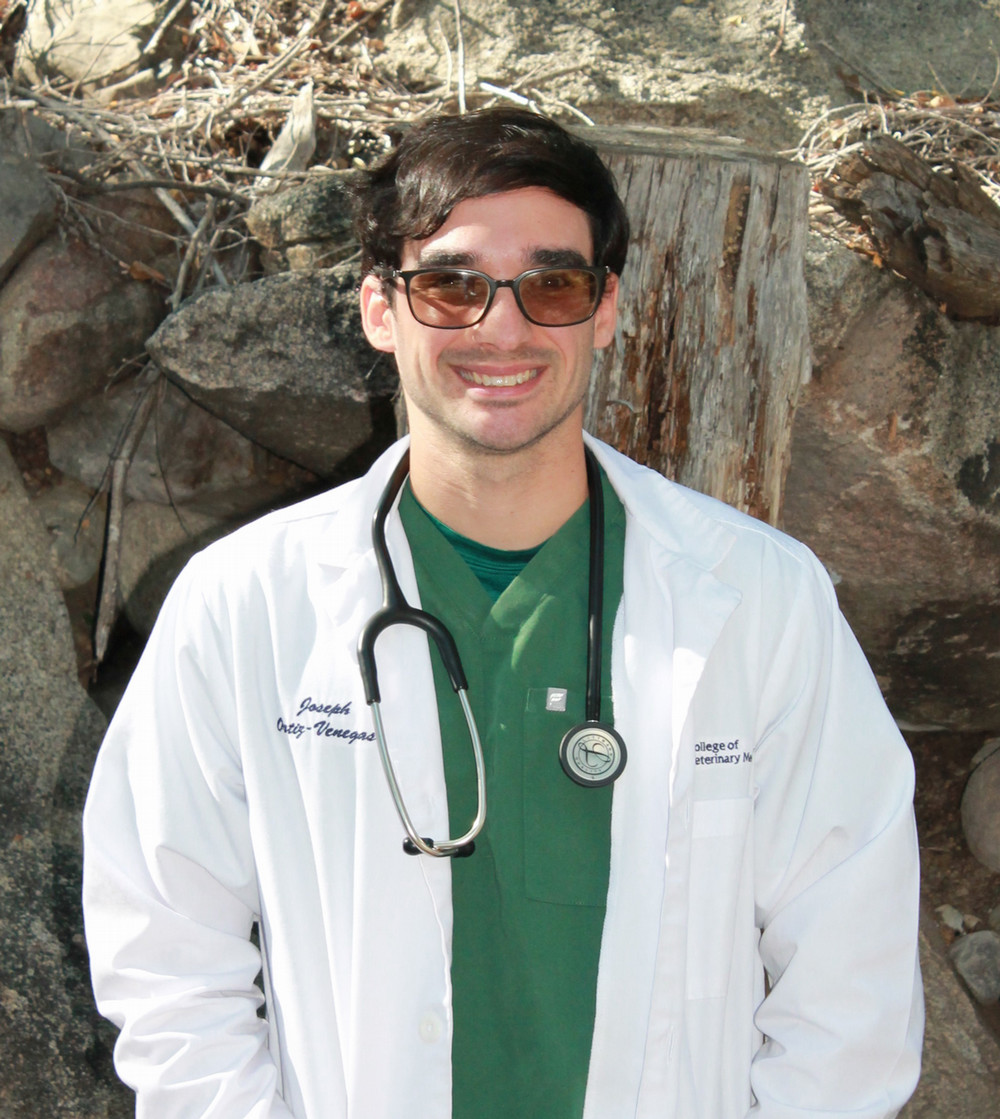 Joseph  Ortiz, DVM